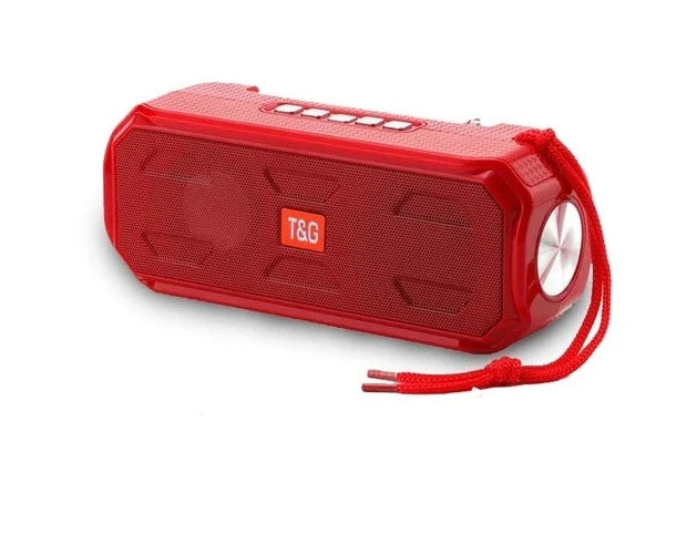 TG280 Portable Speaker