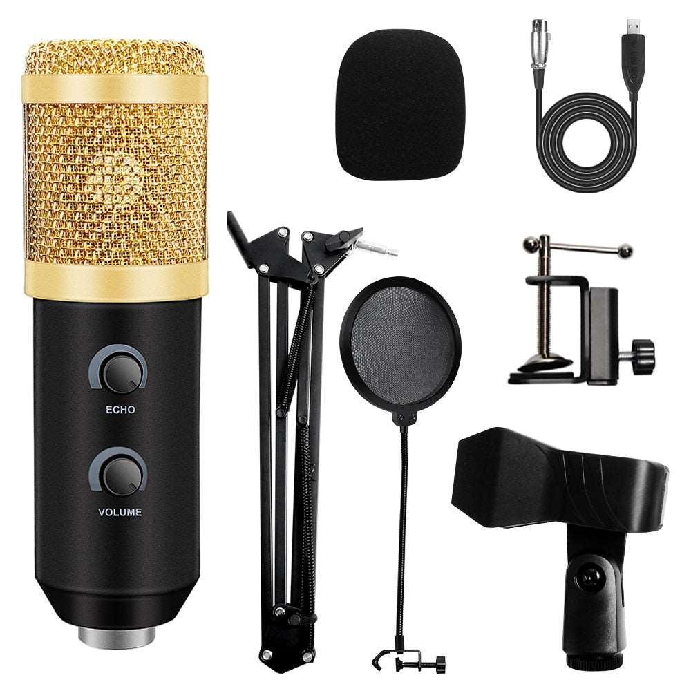 USB Microphone with Arm