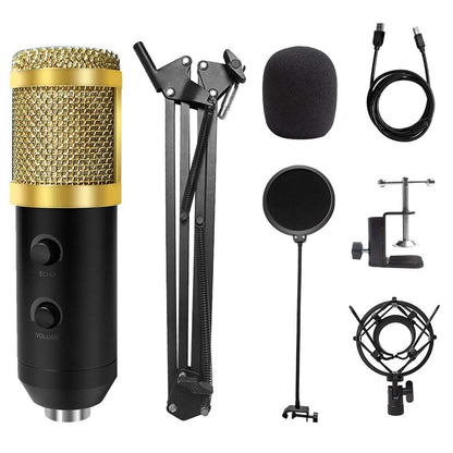 USB Microphone with Arm