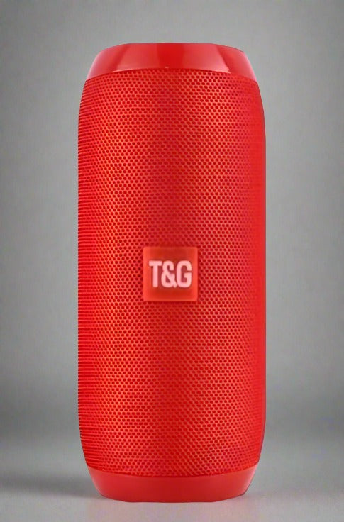 TG117 Outdoor Speaker